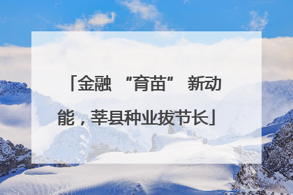 金融 “育苗” 新动能，莘县种业拔节长