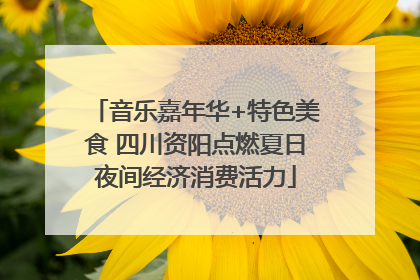 音乐嘉年华+特色美食 四川资阳点燃夏日夜间经济消费活力