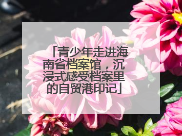 青少年走进海南省档案馆，沉浸式感受档案里的自贸港印记