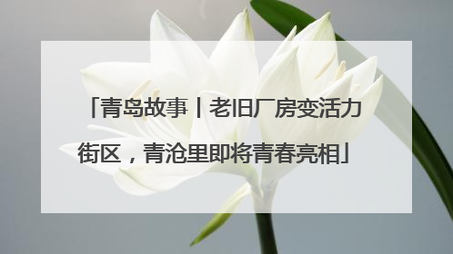 青岛故事丨老旧厂房变活力街区，青沧里即将青春亮相