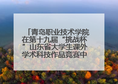 青岛职业技术学院在第十九届“挑战杯”山东省大学生课外学术科技作品竞赛中斩获佳绩