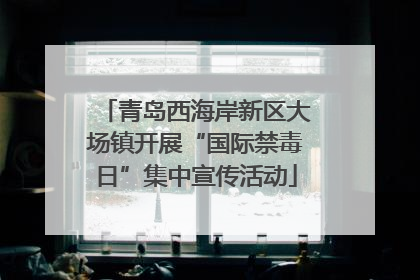 青岛西海岸新区大场镇开展“国际禁毒日”集中宣传活动