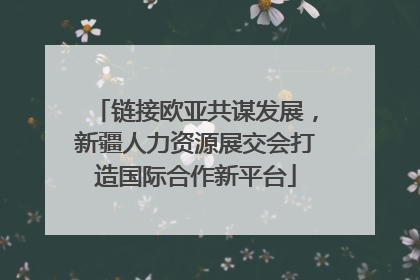 链接欧亚共谋发展，新疆人力资源展交会打造国际合作新平台