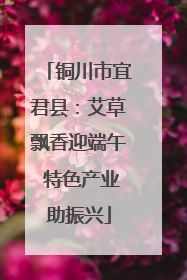 铜川市宜君县：艾草飘香迎端午 特色产业助振兴