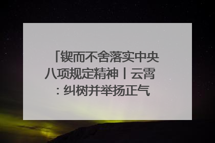 锲而不舍落实中央八项规定精神丨云霄：纠树并举扬正气 作风建设谱新章