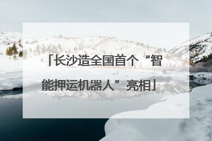 长沙造全国首个“智能押运机器人”亮相