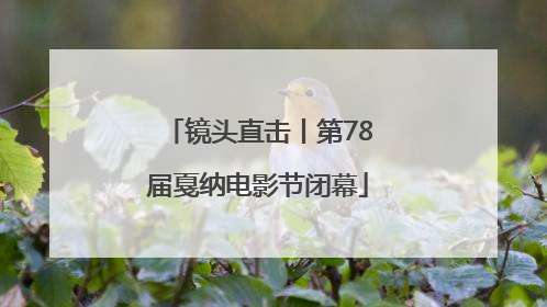 镜头直击丨第78届戛纳电影节闭幕