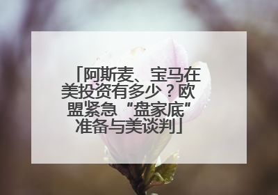 阿斯麦、宝马在美投资有多少？欧盟紧急“盘家底”准备与美谈判