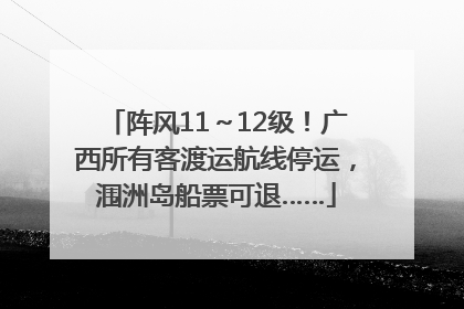 阵风11～12级！广西所有客渡运航线停运，涠洲岛船票可退……