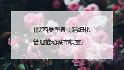 陕西吴堡县：精细化管理推动城市蝶变
