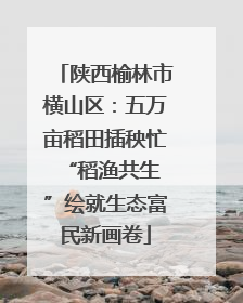 陕西榆林市横山区：五万亩稻田插秧忙 “稻渔共生”绘就生态富民新画卷