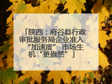 陕西：府谷县行政审批服务局企业准入“加速度” 市场生机“更盎然”