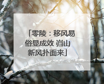零陵：移风易俗显成效 岿山新风扑面来