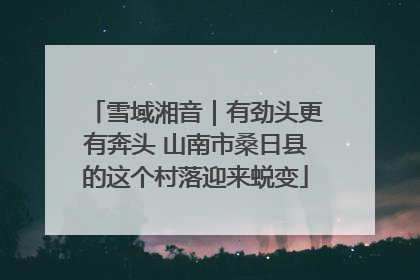 雪域湘音｜有劲头更有奔头 山南市桑日县的这个村落迎来蜕变