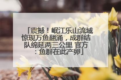 震撼！岷江乐山流域惊现万鱼翻涌，成群结队绵延两三公里 官方：鱼群在此产卵