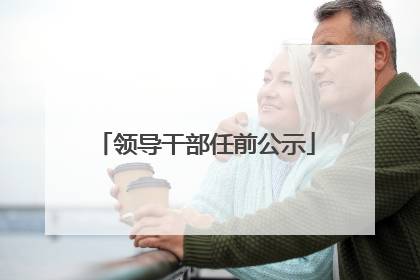 领导干部任前公示