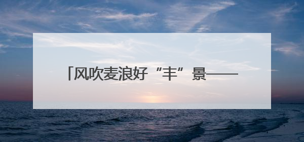 风吹麦浪好“丰”景——多地小麦机收一线见闻