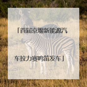 首届京堰新能源汽车拉力赛鸣笛发车