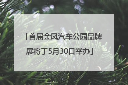 首届金凤汽车公园品牌展将于5月30日举办