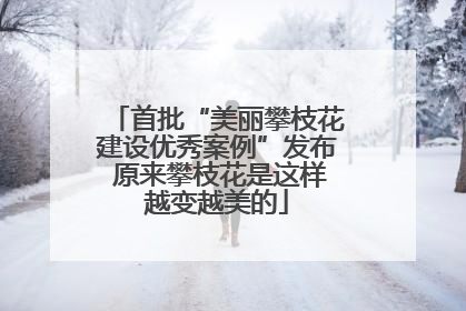 首批“美丽攀枝花建设优秀案例”发布 原来攀枝花是这样越变越美的