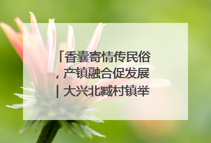 香囊寄情传民俗，产镇融合促发展｜大兴北臧村镇举办端午主题活动