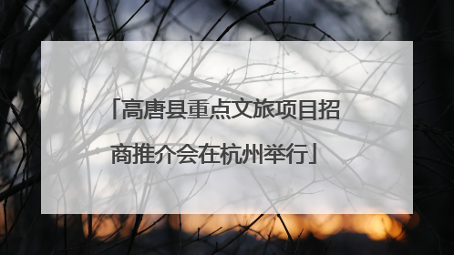 高唐县重点文旅项目招商推介会在杭州举行