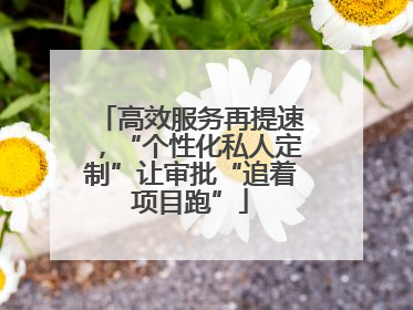 高效服务再提速，“个性化私人定制”让审批“追着项目跑”