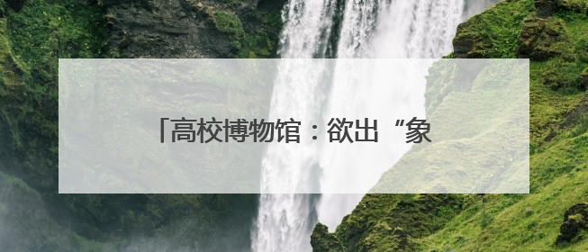高校博物馆：欲出“象牙塔”，谁来推一把