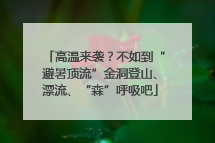 高温来袭？不如到“避暑顶流”金洞登山、漂流、“森”呼吸吧