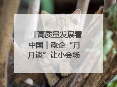 高质量发展看中国｜政企“月月谈”让小会场撬动大营商