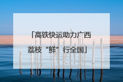高铁快运助力广西荔枝“鲜”行全国