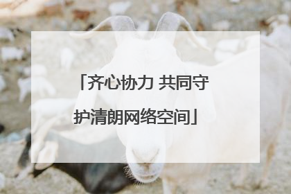 齐心协力 共同守护清朗网络空间