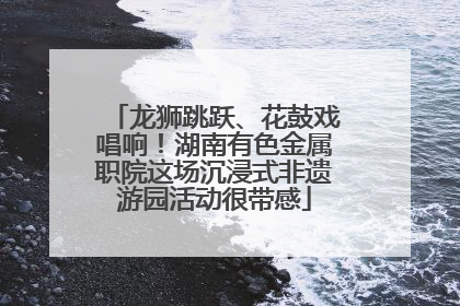 龙狮跳跃、花鼓戏唱响！湖南有色金属职院这场沉浸式非遗游园活动很带感