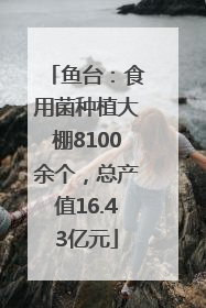 鱼台：食用菌种植大棚8100余个，总产值16.43亿元