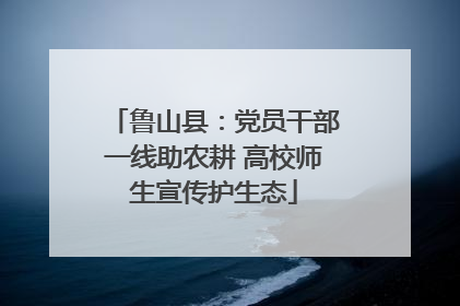 鲁山县：党员干部一线助农耕 高校师生宣传护生态