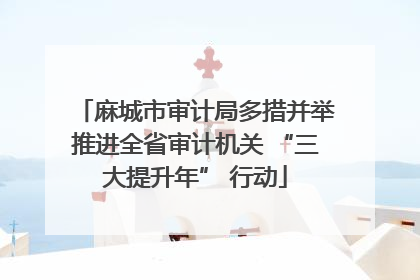 麻城市审计局多措并举推进全省审计机关 “三大提升年” 行动
