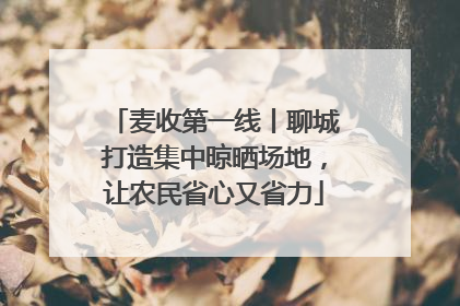 麦收第一线丨聊城打造集中晾晒场地，让农民省心又省力