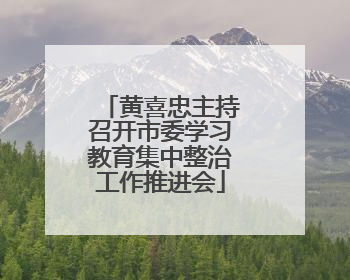 黄喜忠主持召开市委学习教育集中整治工作推进会
