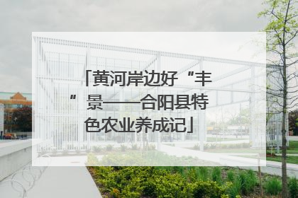 黄河岸边好“丰”景——合阳县特色农业养成记