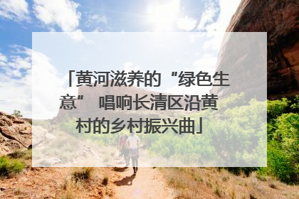 黄河滋养的“绿色生意” 唱响长清区沿黄村的乡村振兴曲