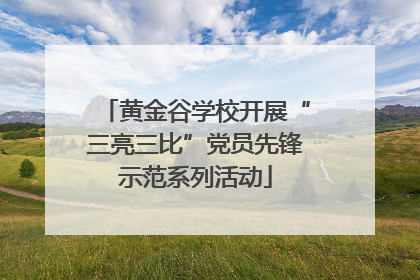 黄金谷学校开展“三亮三比”党员先锋示范系列活动