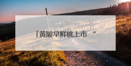 黄陂早鲜桃上市 “桃”气满满迎客来