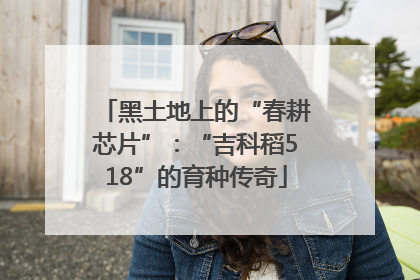 黑土地上的“春耕芯片”：“吉科稻518”的育种传奇