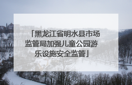 黑龙江省明水县市场监管局加强儿童公园游乐设施安全监管