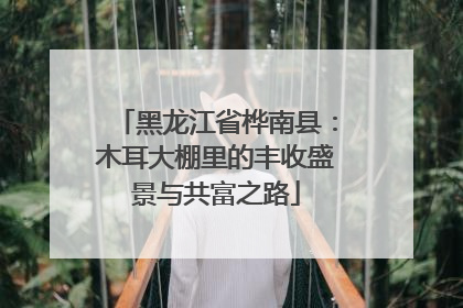 黑龙江省桦南县：木耳大棚里的丰收盛景与共富之路
