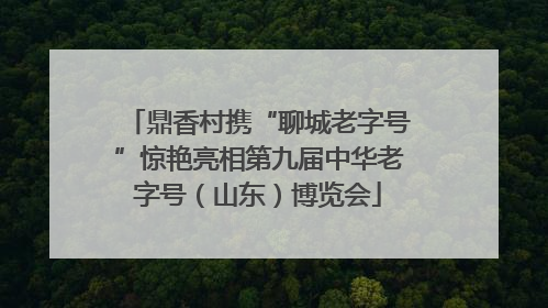鼎香村携“聊城老字号”惊艳亮相第九届中华老字号（山东）博览会