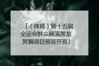 （体育）第十五届全运会群众展演舞龙舞狮项目预赛开赛