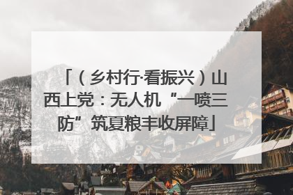 （乡村行·看振兴）山西上党：无人机“一喷三防”筑夏粮丰收屏障
