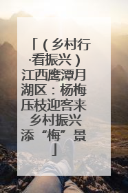 （乡村行·看振兴）江西鹰潭月湖区：杨梅压枝迎客来 乡村振兴添“梅”景