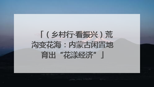 （乡村行·看振兴）荒沟变花海：内蒙古闲置地育出“花漾经济”